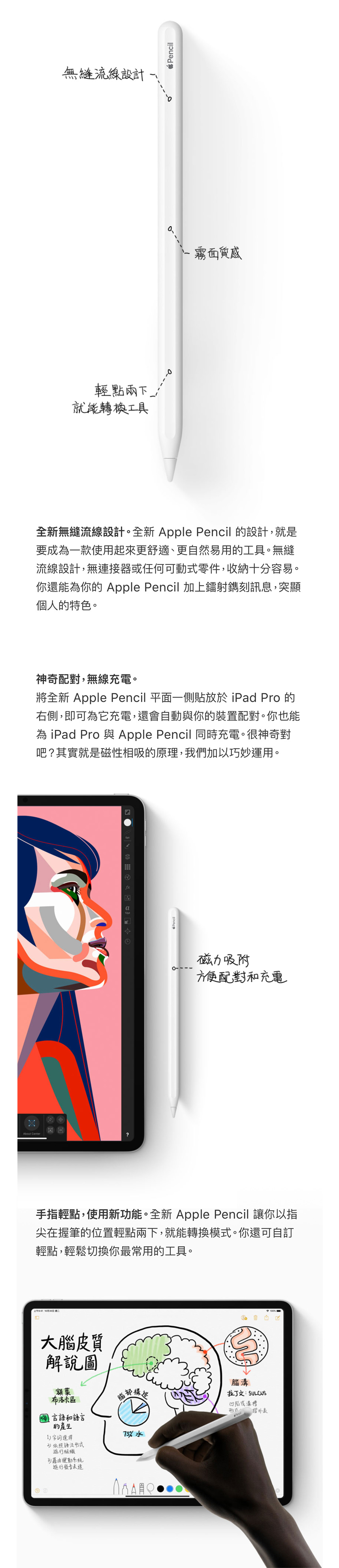 Apple Pencil (第二代) - PChome 24h購物
